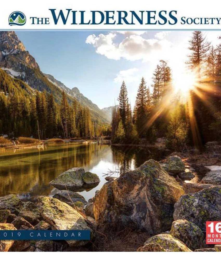 2019 The Wilderness Society 16Month Wall Calendar by Sellers