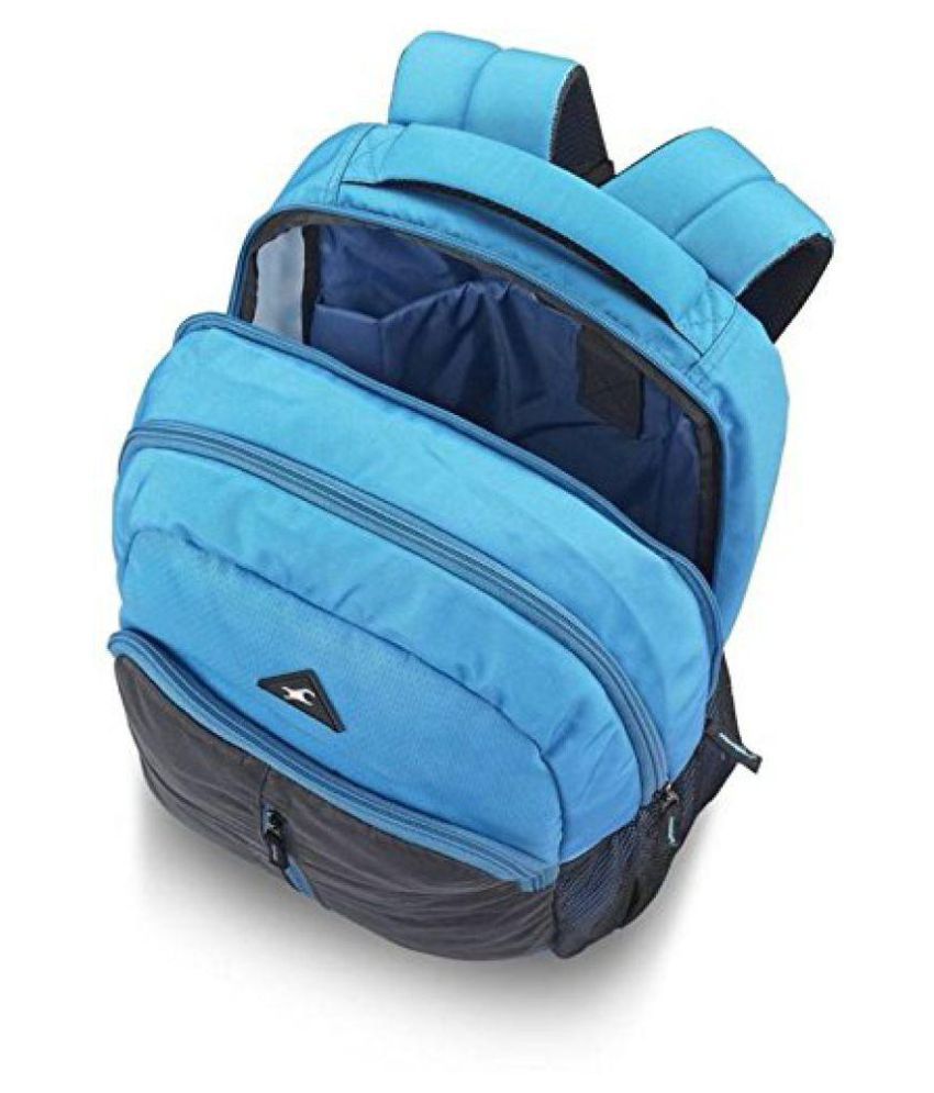 fastrack blue backpack