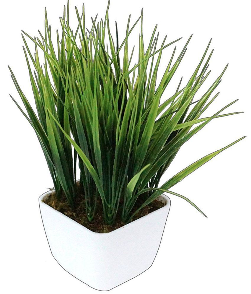     			YUTIRITI Artificial Green Wheat Grass With Pot Multicolour Artificial Plants Bunch Plastic - Pack of 1