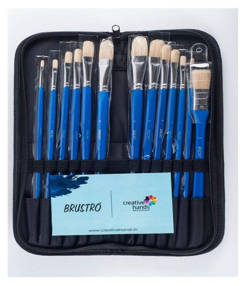 Brustro Artists' Hog Hair Brush Set of 13 IN TRAVEL CASE . BRUSHES FOR OIL  AND ACRYLIC PAINT: Buy Online at Best Price in India - Snapdeal