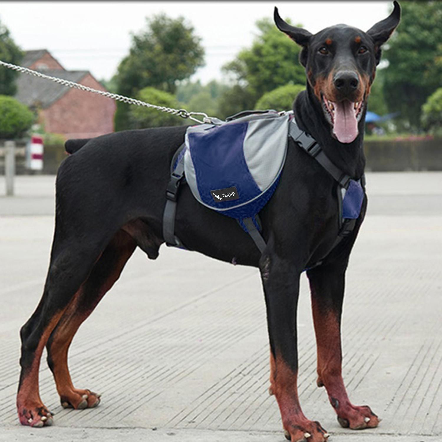 tailup dog backpack