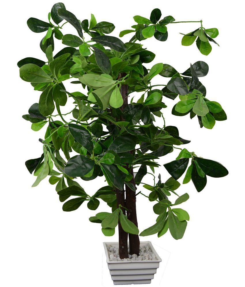 Thefancymart Ficus Tree Green Artificial Tree Plastic Pack of 1 Buy