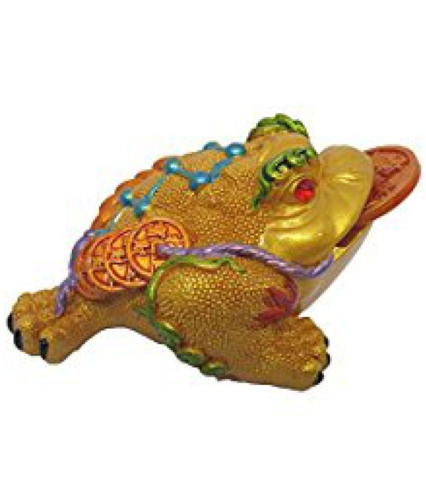     			MTV Feng Shui Frog - Toad Multi Colour with Coin