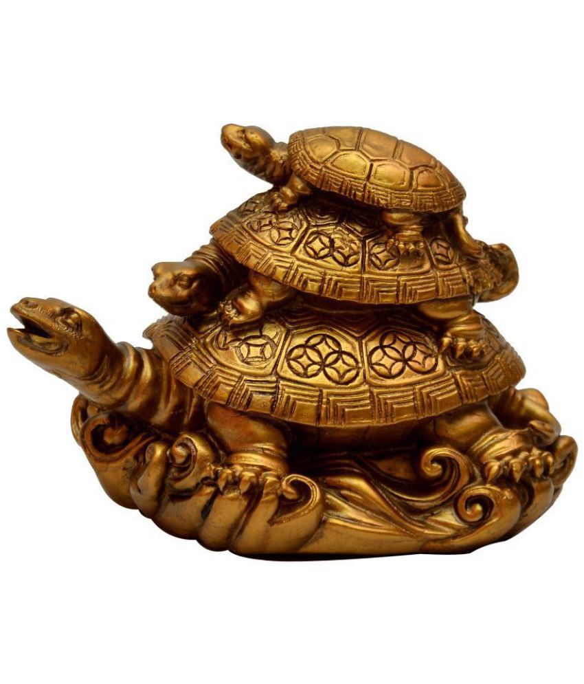     			Queen Collection Tortoise