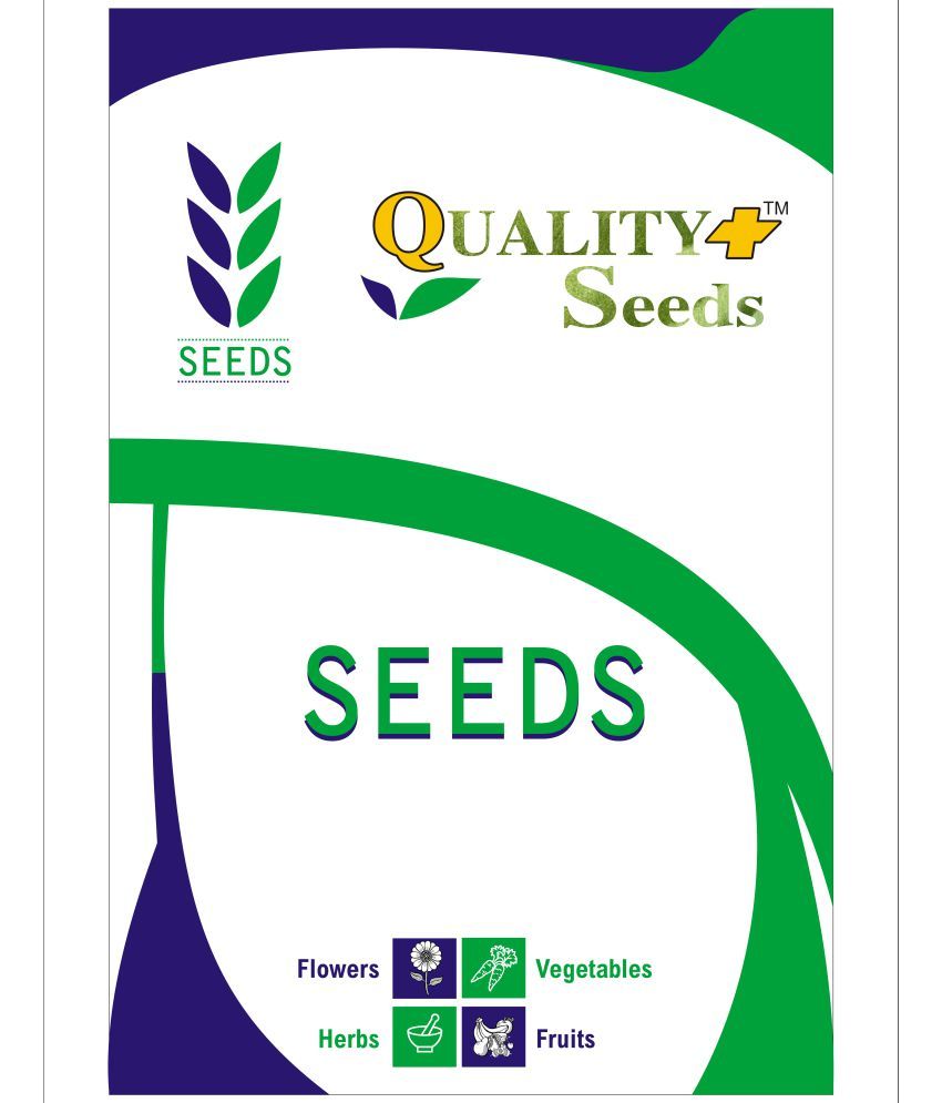 CARNATION FINE MIXED GARDEN SEEDS FLOWER FOR PLANTING HOME GARDEN