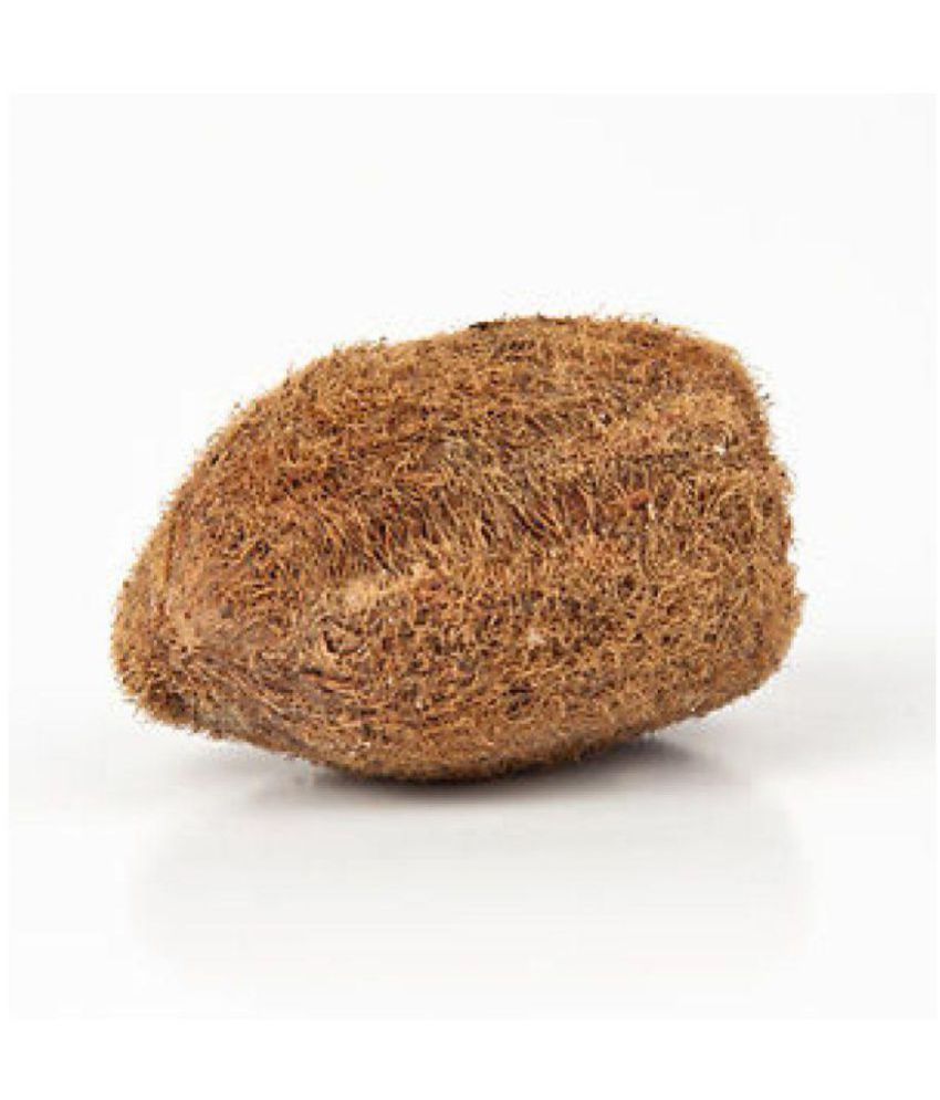     			EKAKSHI NARIYAL - EKAKSHEE NARIAL - VASTU - ONE EYED COCONUT