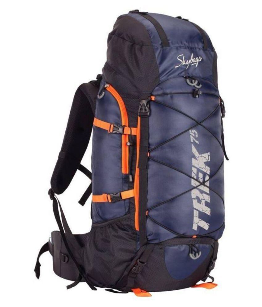 skybags trekking bags