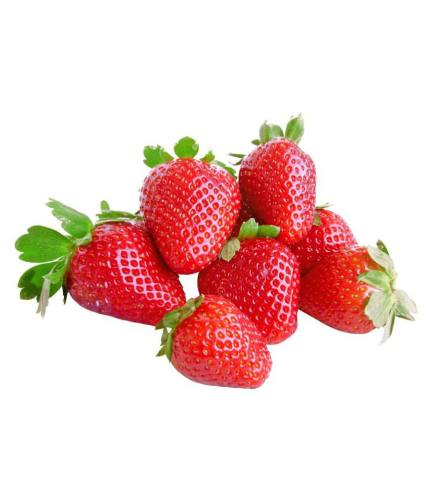     			siya brand strawberry fruits hybrid seeds