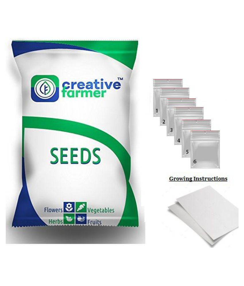 Flower Seeds Cosmos Bipinnatus Sensations Mix (Cbs) Terrace Garden