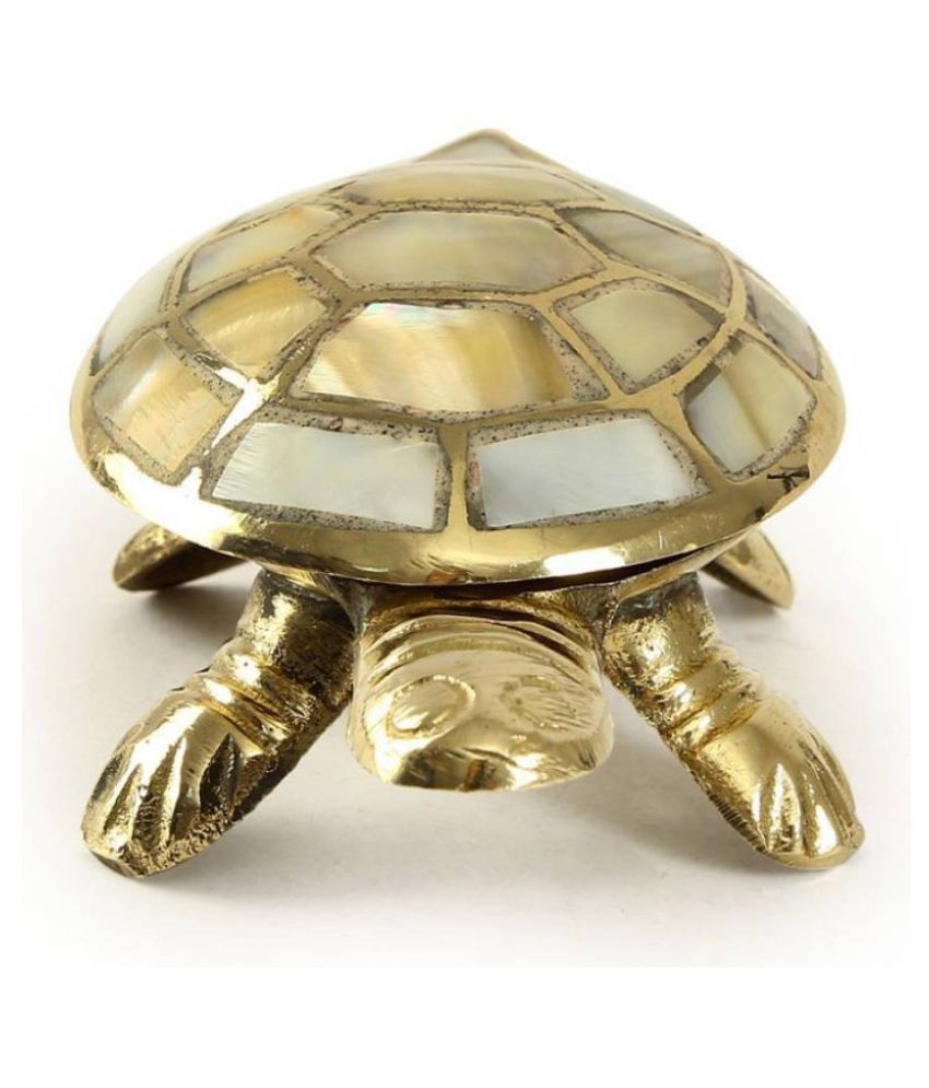     			DD1  Shell Small Tortoise Fengshui