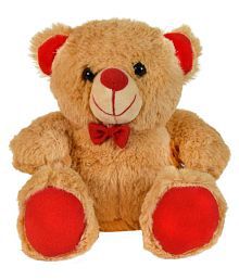 bada wala teddy bear