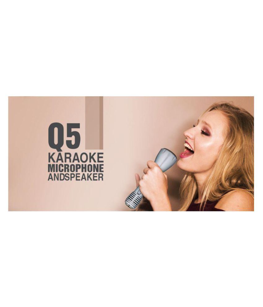 q5 karaoke microphone and speaker