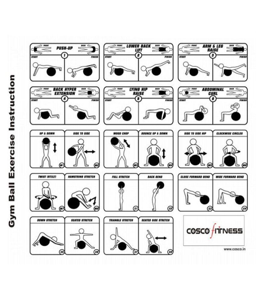 cosco gym cycle price