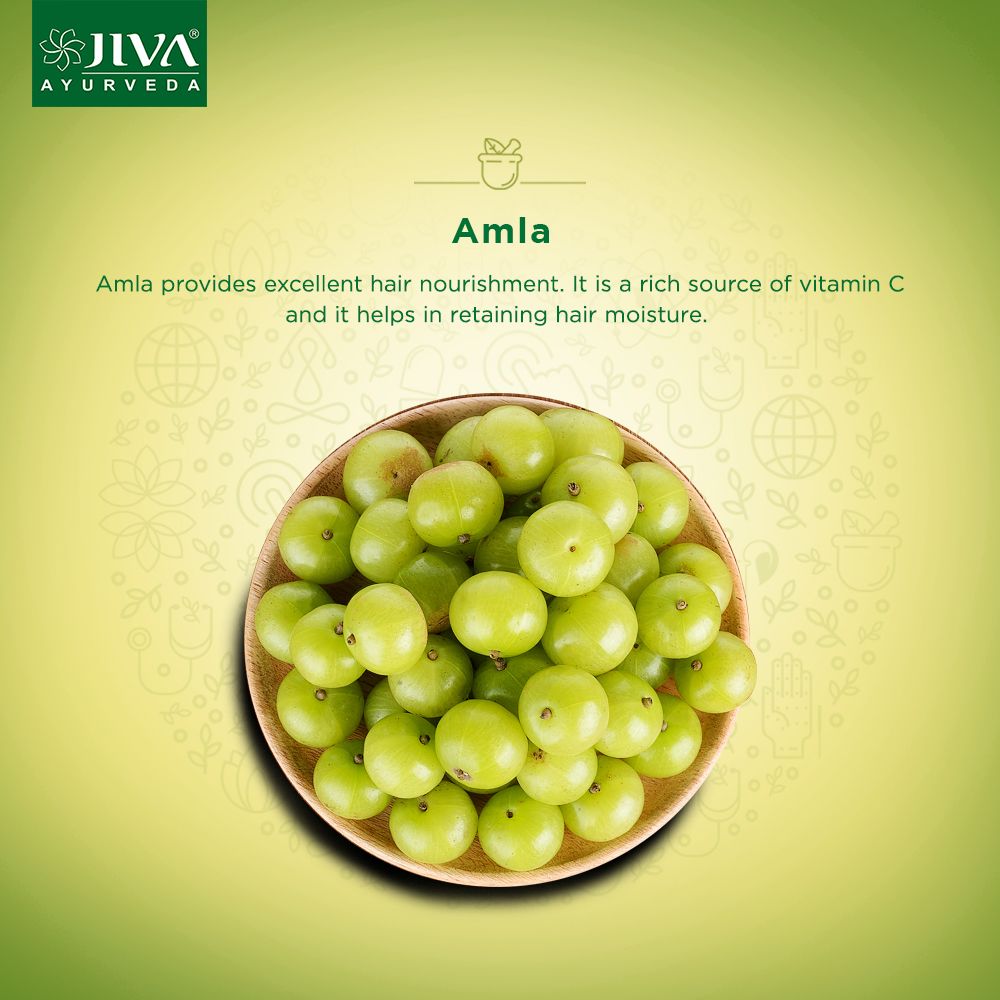 Jiva Ayurveda Amla Hair Oil 120 Ml Pack Of 3: Buy Jiva Ayurveda Amla ...