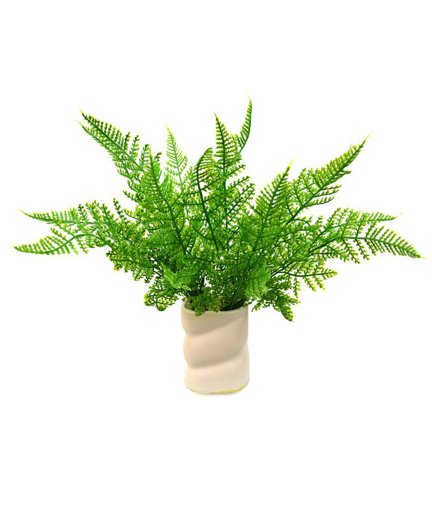 DECOREBUGS Lady Fern Plant without pot Green Artificial Plants Bunch  Plastic - Pack of 2: Buy DECOREBUGS Lady Fern Plant without pot Green  Artificial Plants Bunch Plastic - Pack of 2 at