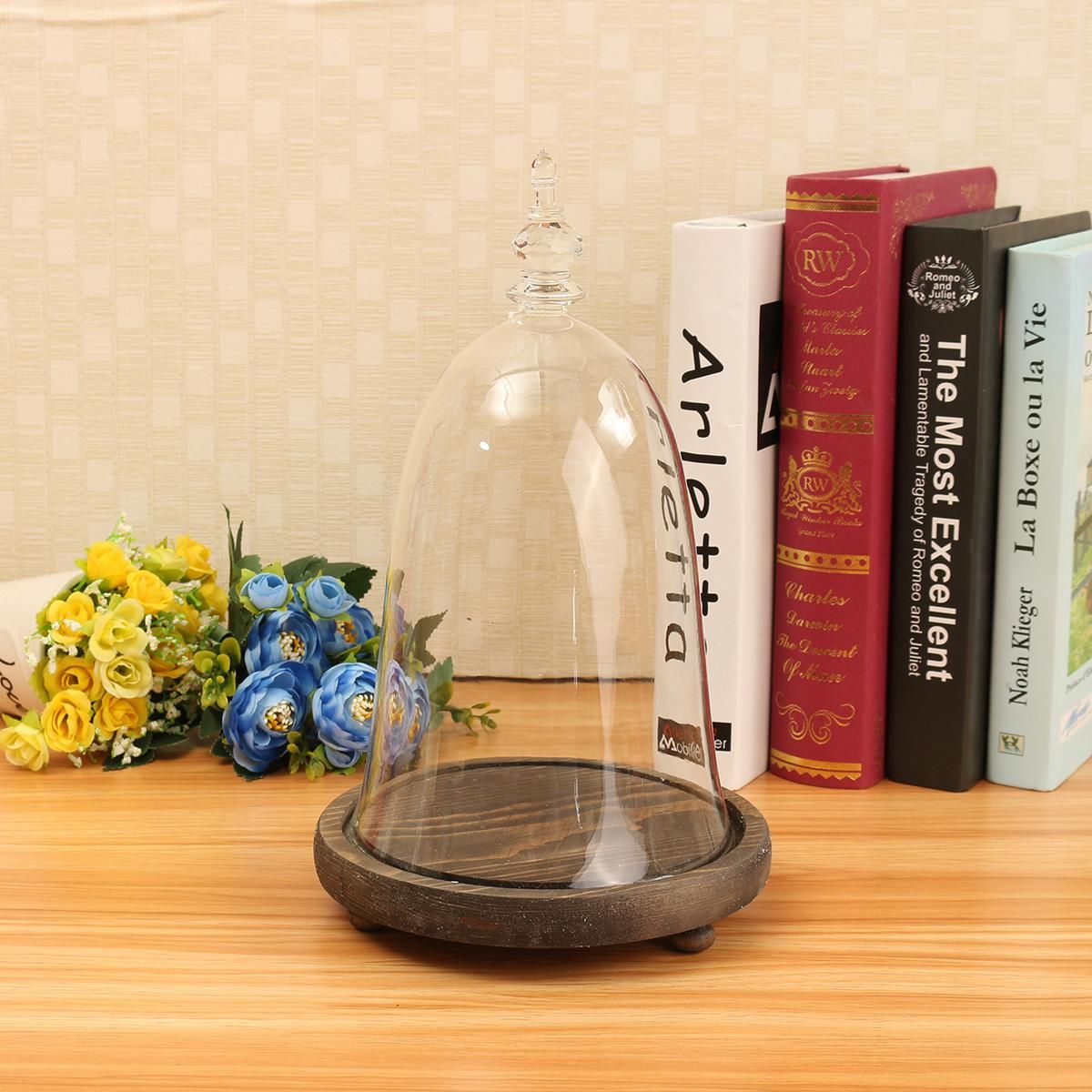 Glass Display Cloche Bell Jar Dome Flower Preservation Vase Wooden Base 28cm