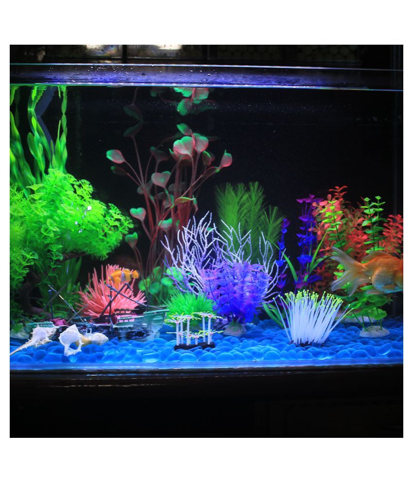 aquarium toys snapdeal