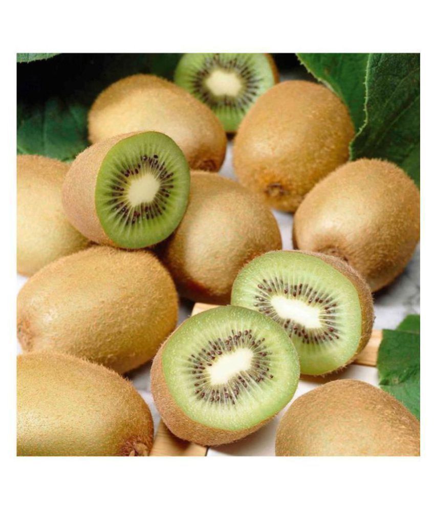     			Royal Paradise Gardenn Kiwi Fruit Plant Seeds - Pack of 25