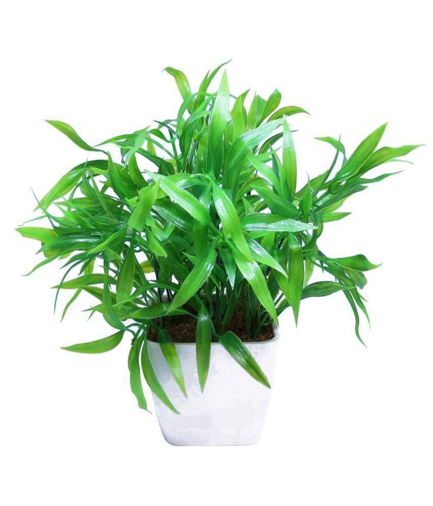     			YUTIRITI Bamboo Green Artificial Plants Bunch Plastic - Pack of 1