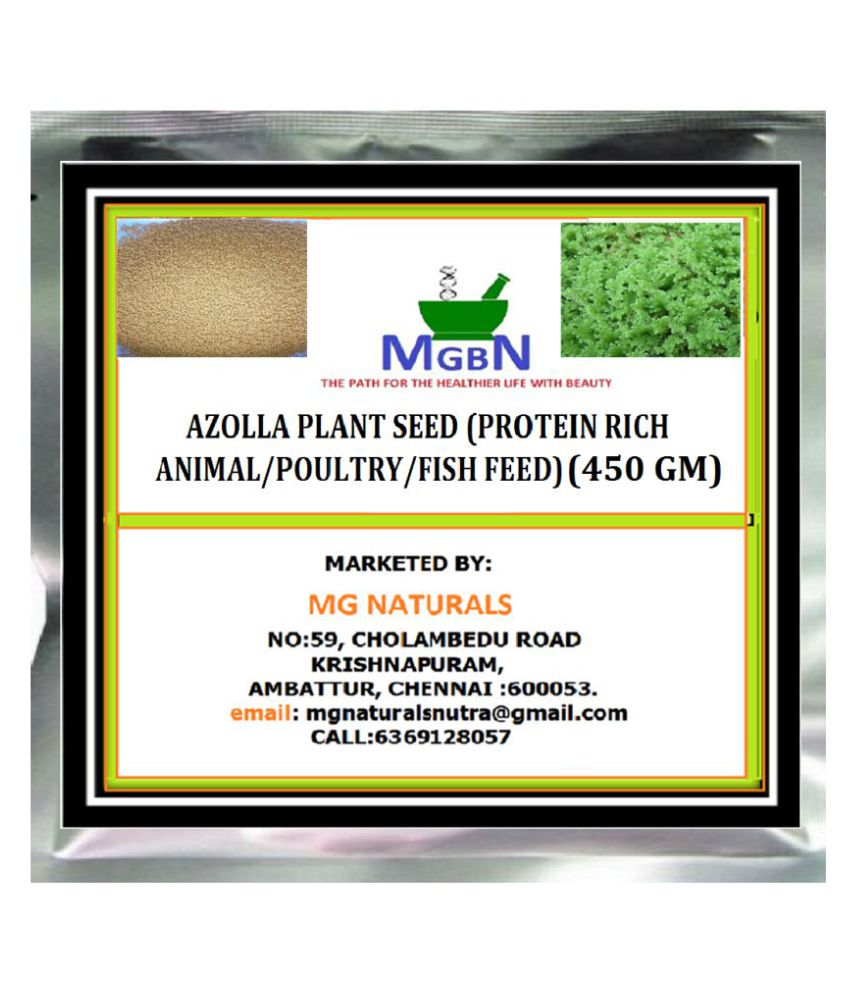 AZOLLA PLANT SEED (PROTEIN RICH ANIMAL/POULTRY/FISH FEED) 450 GM Buy