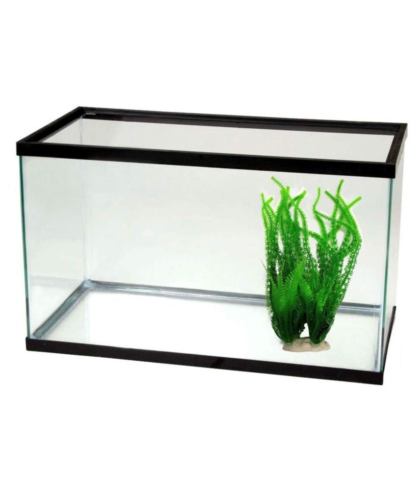 Jainsons Pet Products Aquarium Decoration Plant For Fish Tank Also