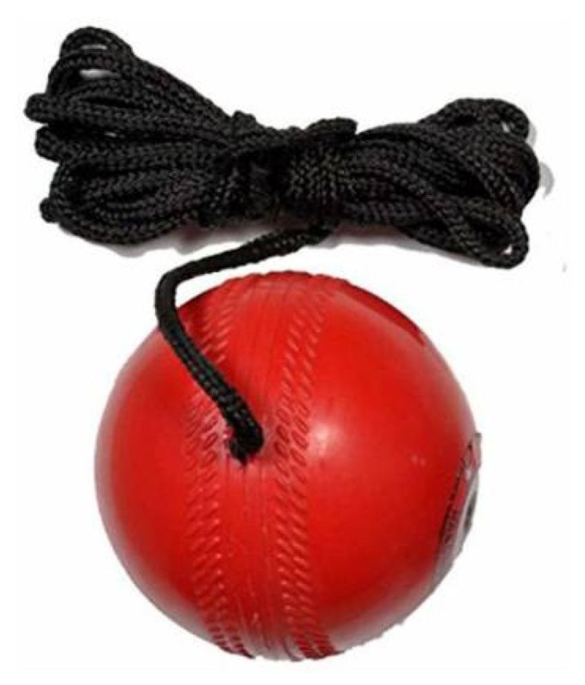BMD HANGING CRICKET BALL PACK OF (1) Buy Online at Best Price on Snapdeal