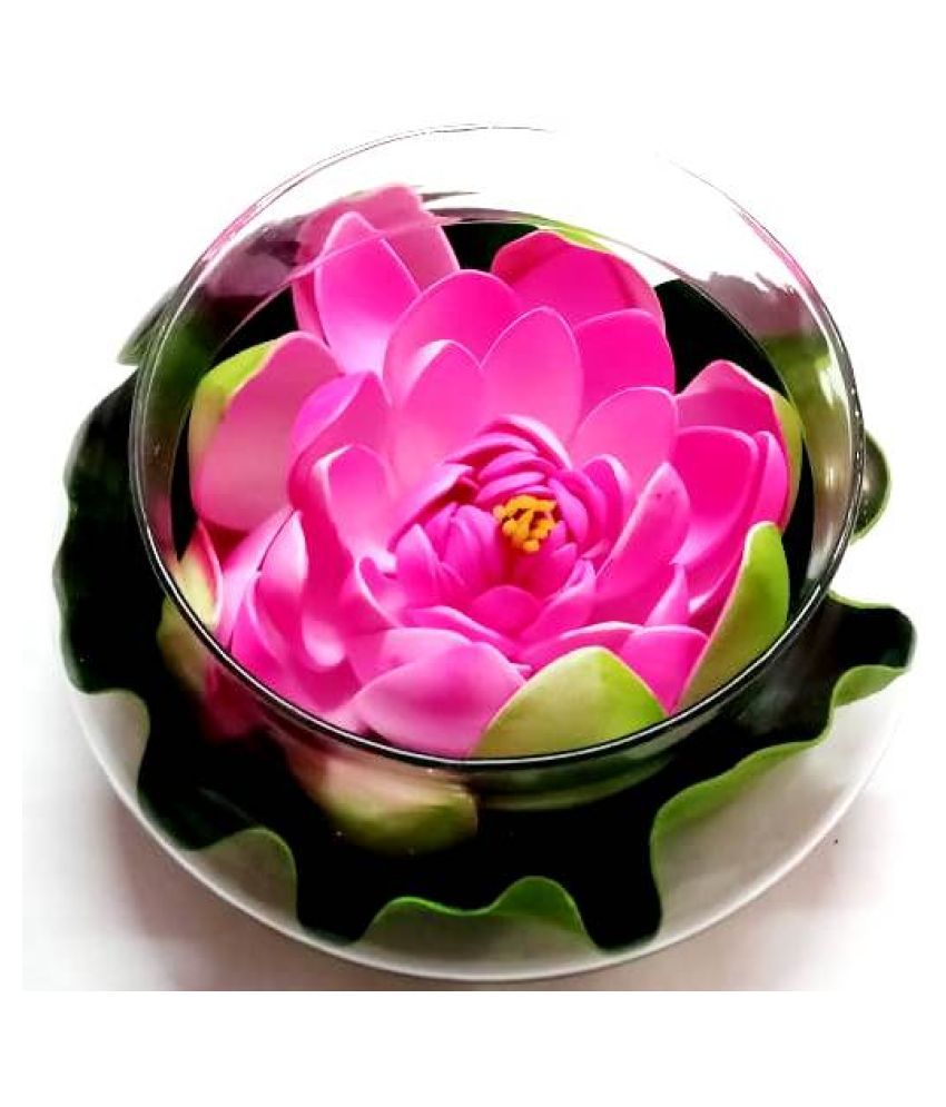 Green plant indoor Lotus Pink Flowers With Pot - Pack of 1 ...