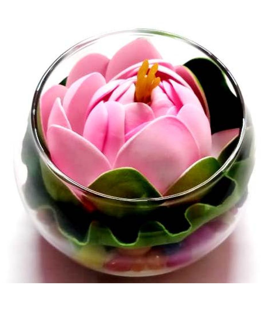     			Green plant indoor Lotus Pink Floating Flowers - Pack of 1