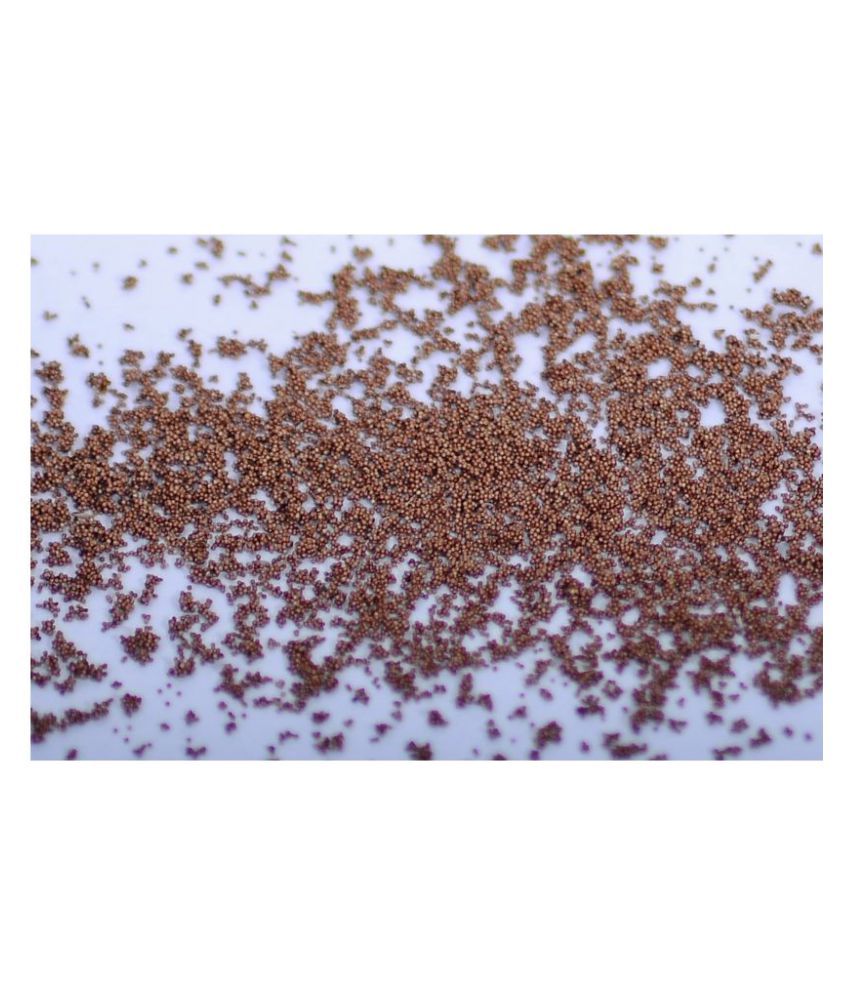 Brine shrimp eggs Buy Brine shrimp eggs Online at Low