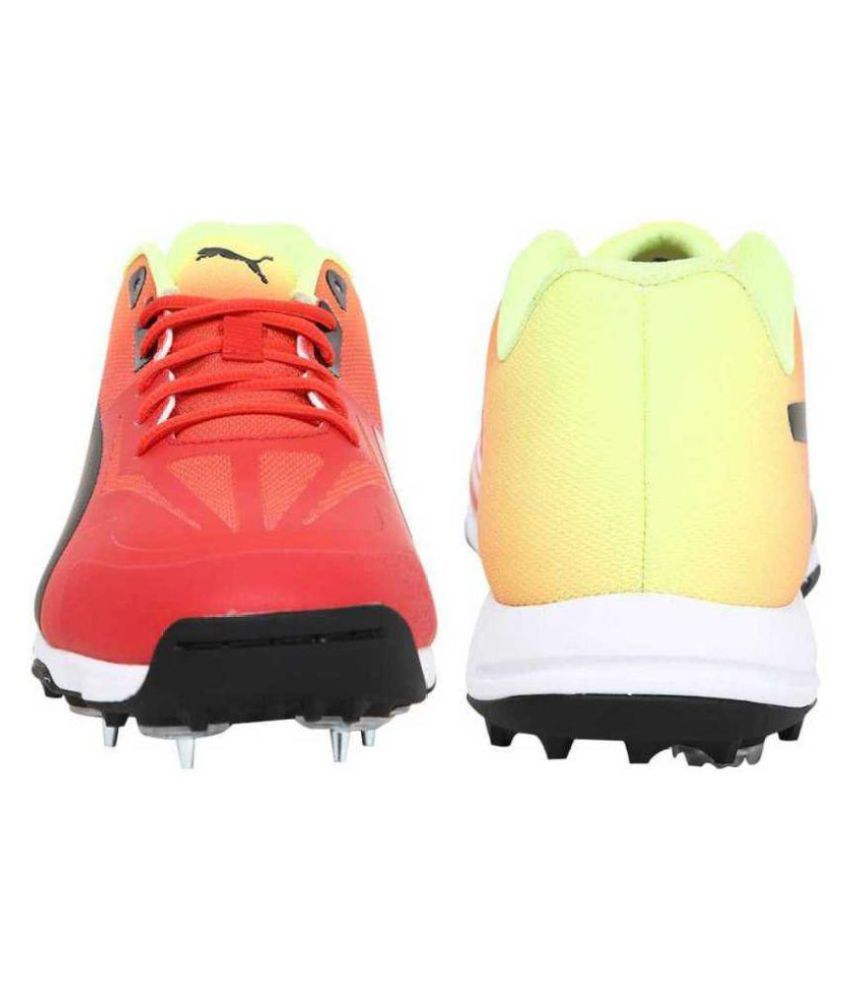 puma evospeed 18.1 cricket shoes