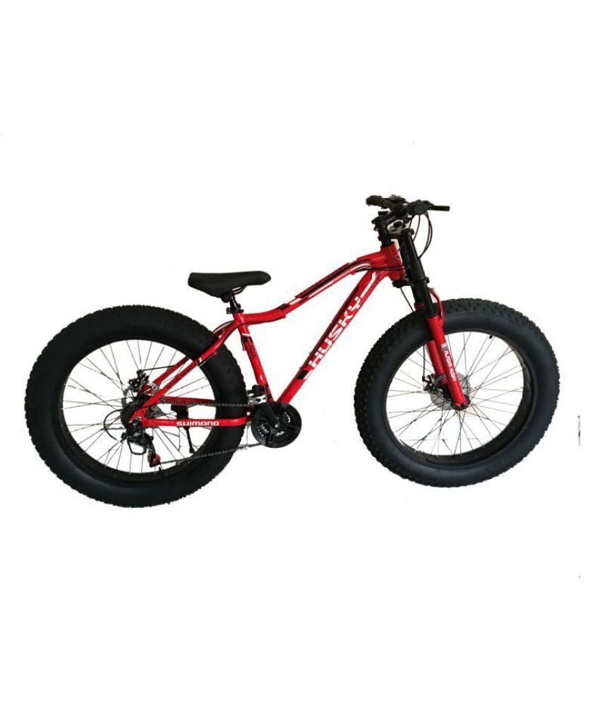 fat bike price under 10000