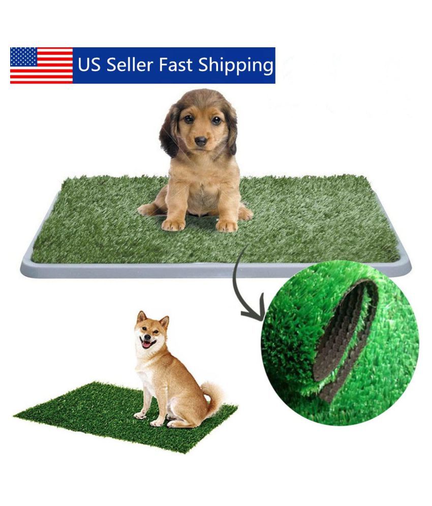 artificial grass potty training