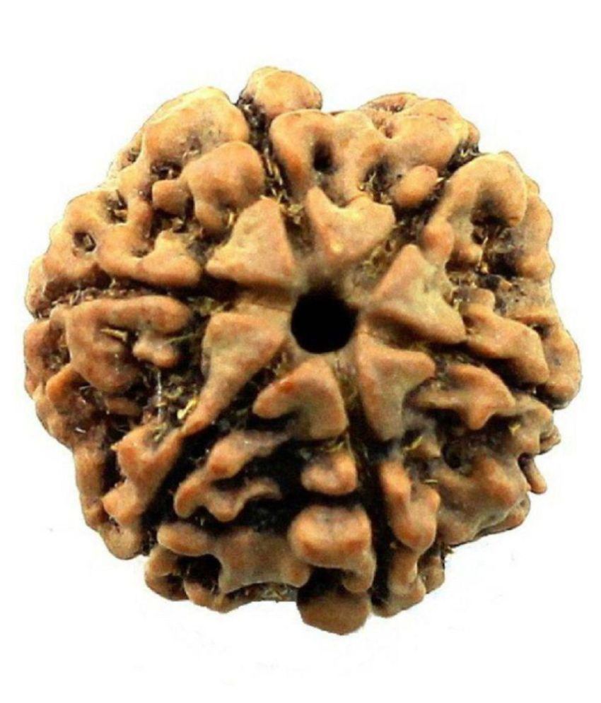     			Shivoham 6 Mukhi Rudraksha Wood Pendant