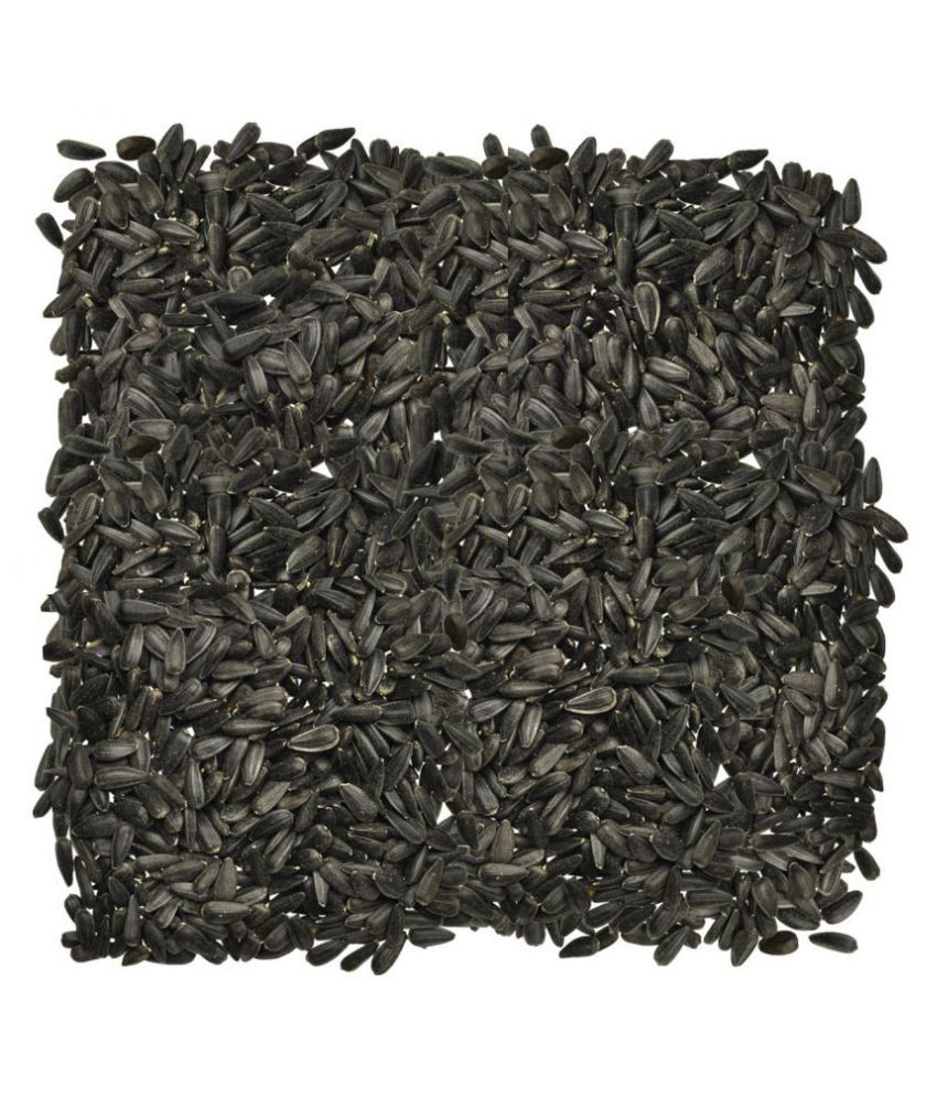 JOVIAN Sunflower Seed for Birds Food 500gm use for African love birds