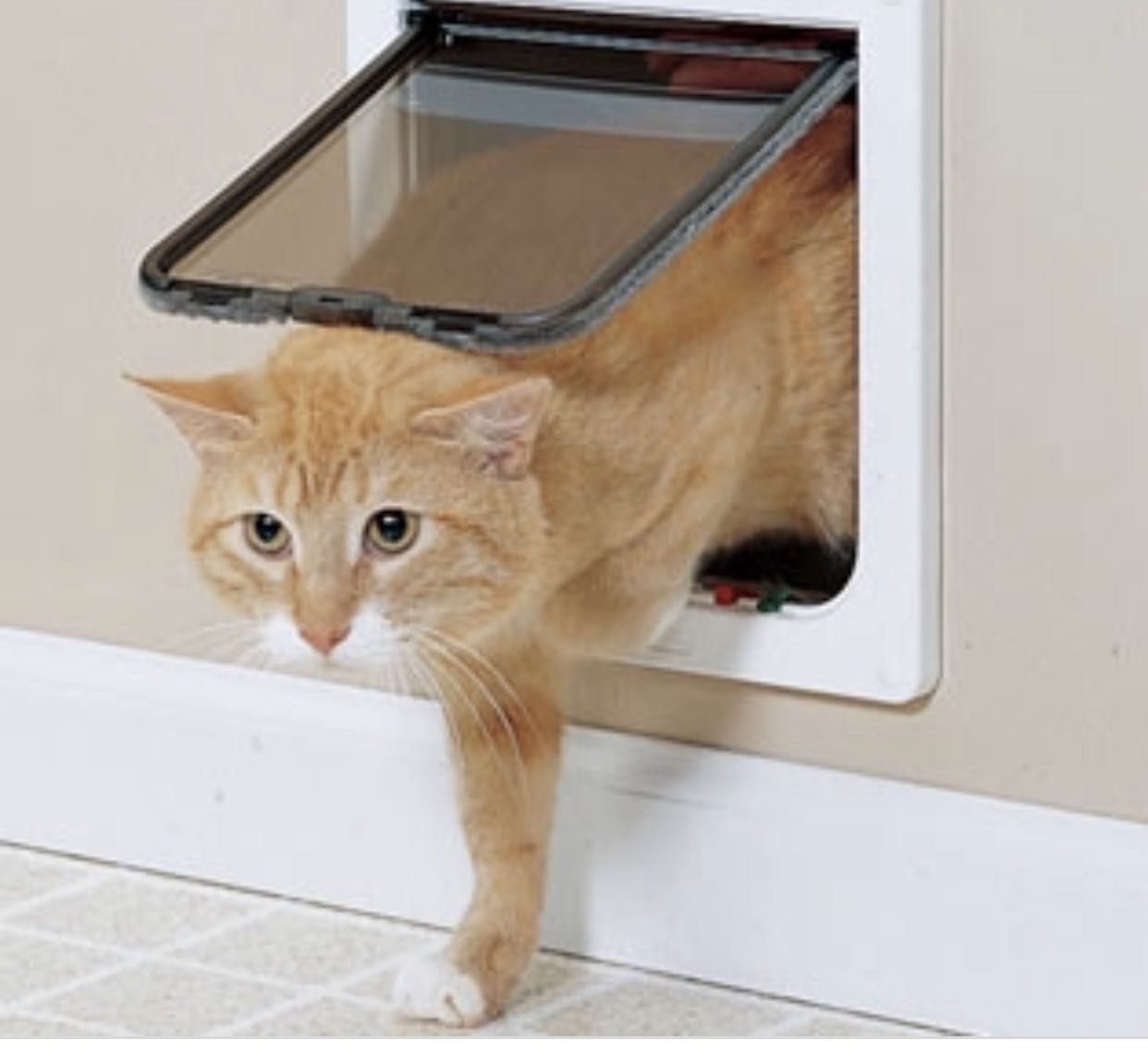 Trixie 4Way Cat Flap Door (Brown) Buy Trixie 4Way Cat Flap Door