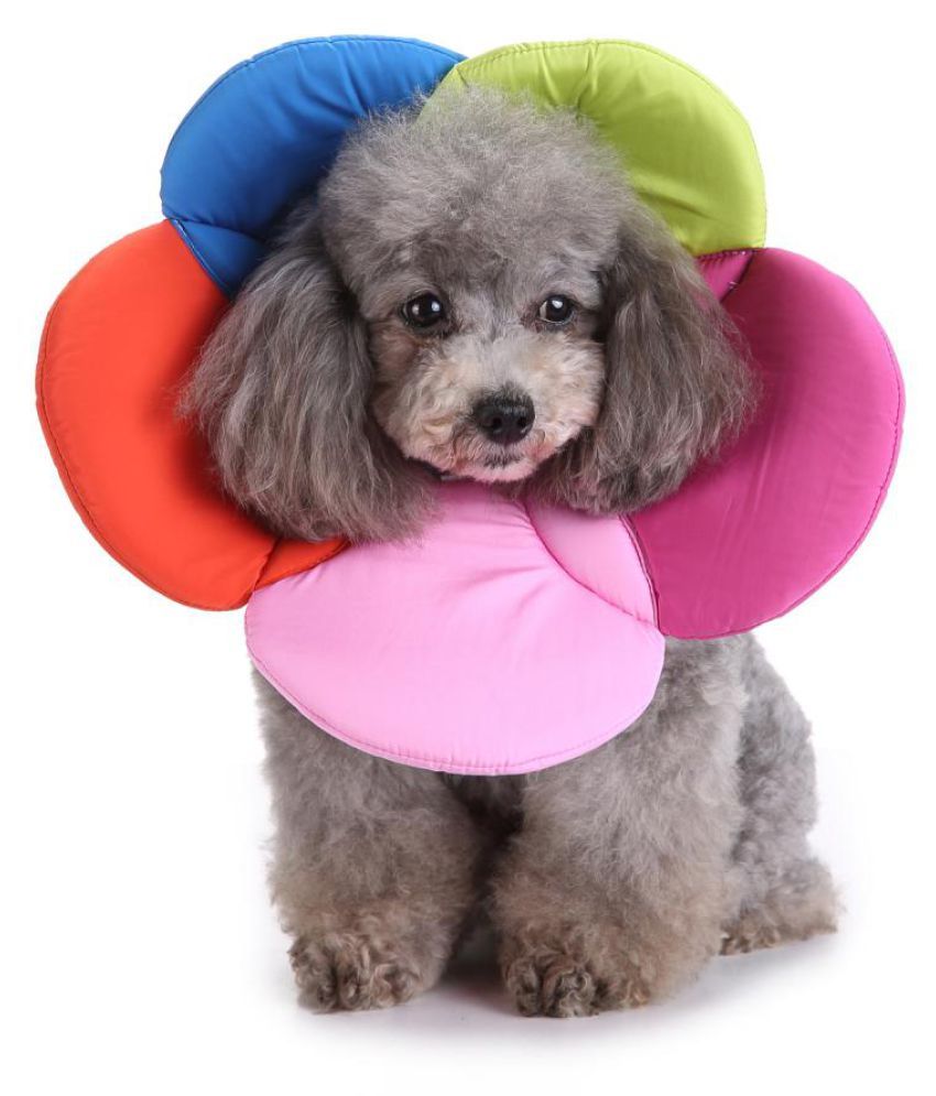 dog neck protector