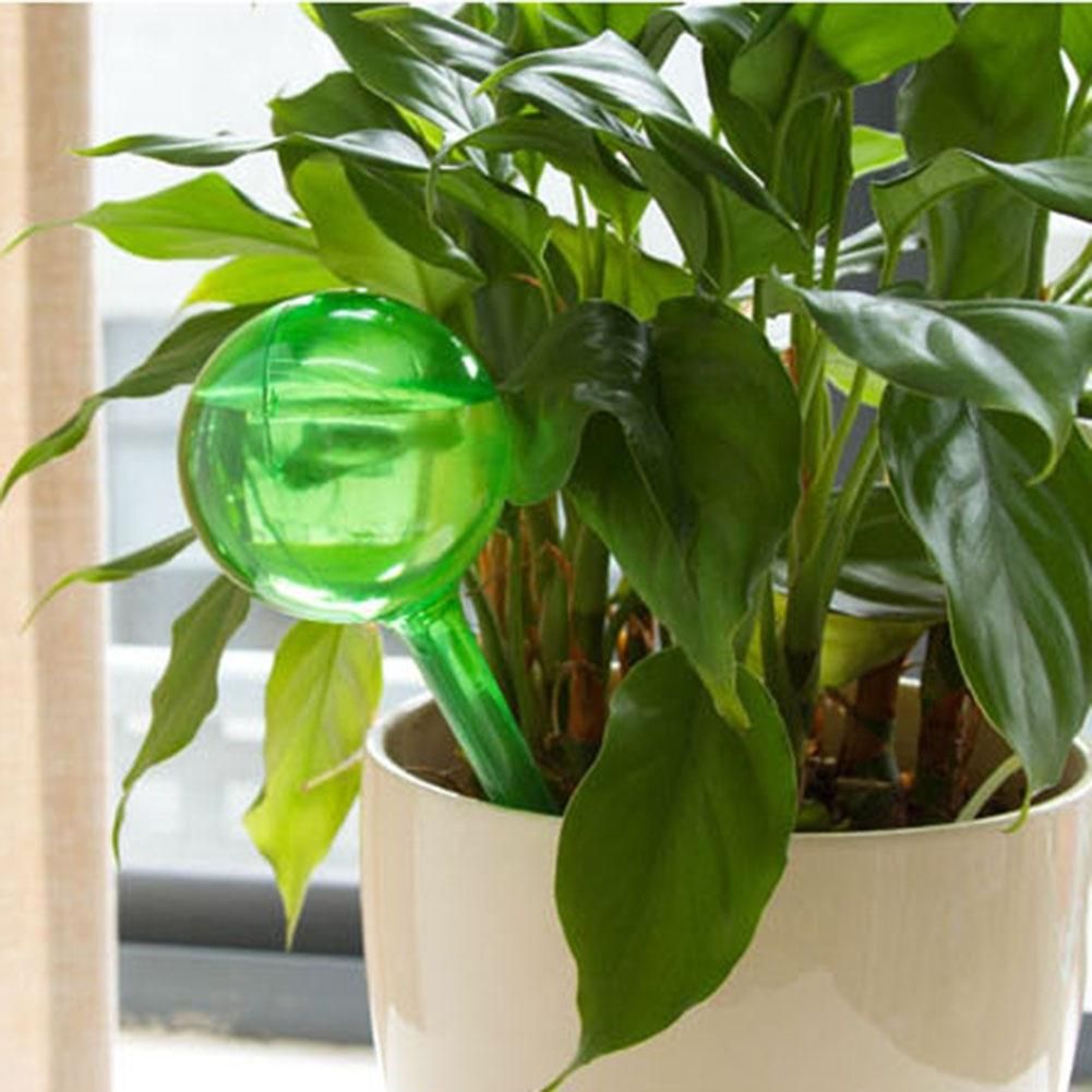 3 Pcs Fashion Imitation Glass Plant Waterer Flowers Automatic