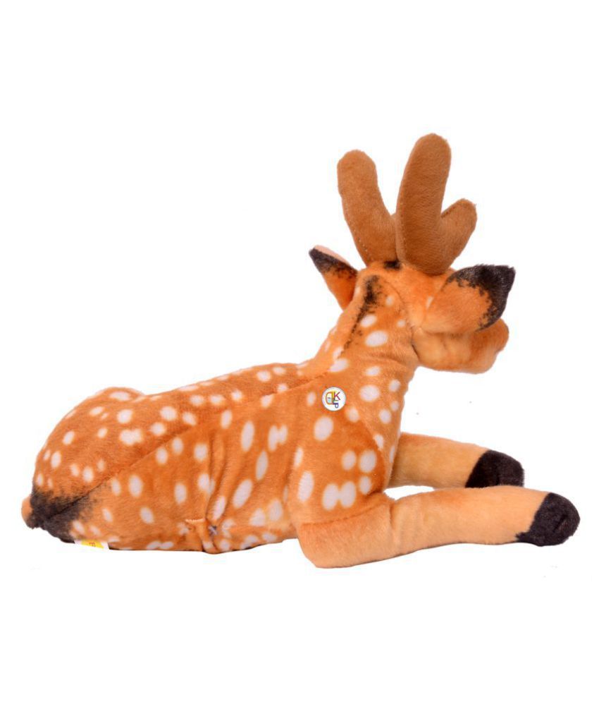 teddy deer