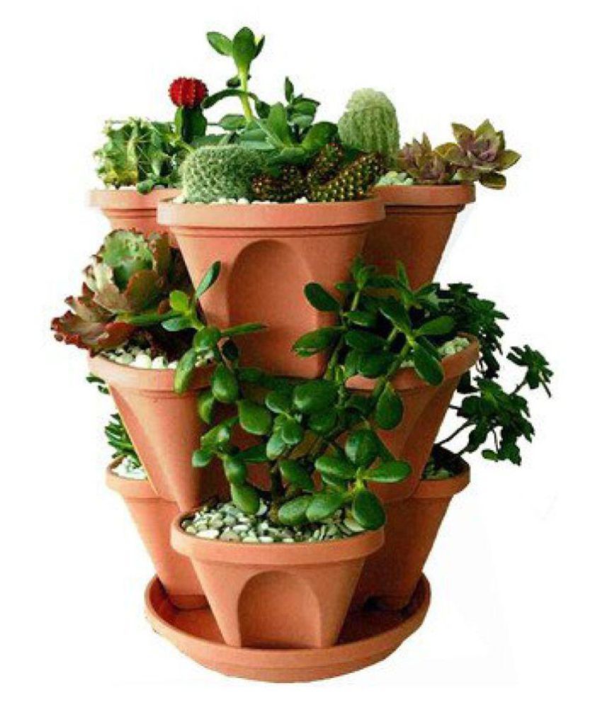 alkarty Both Flower Pot  Buy alkarty Both Flower Pot  