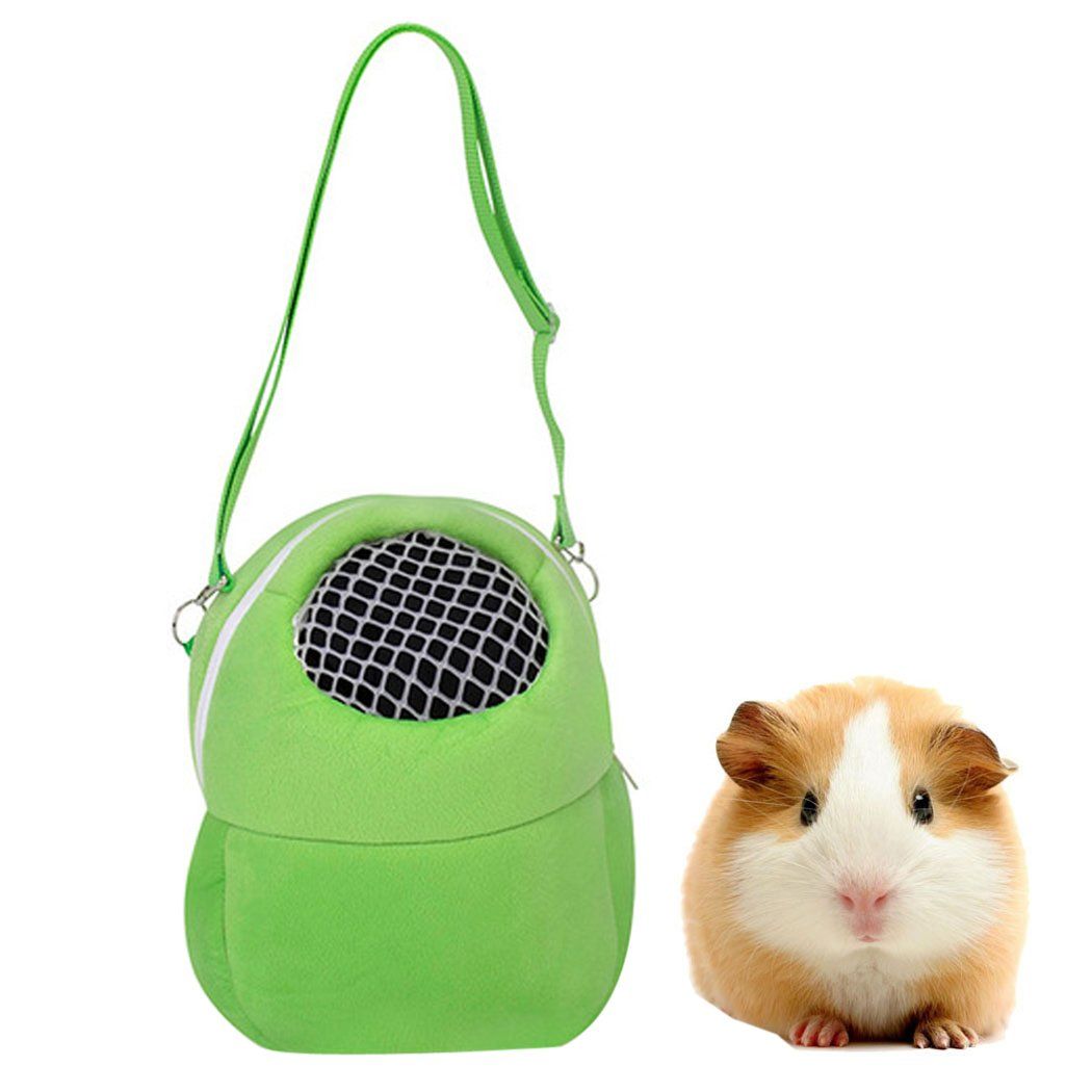 guinea pig handbag