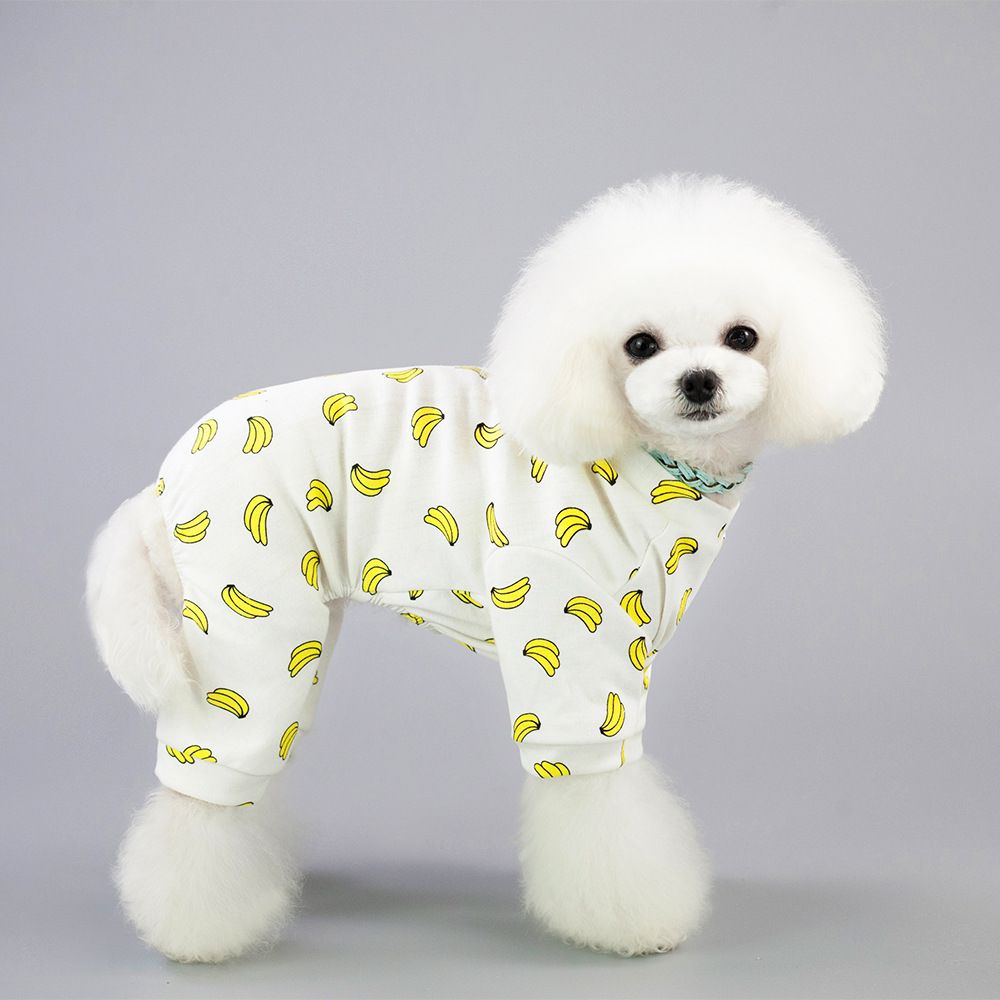dog clothes online