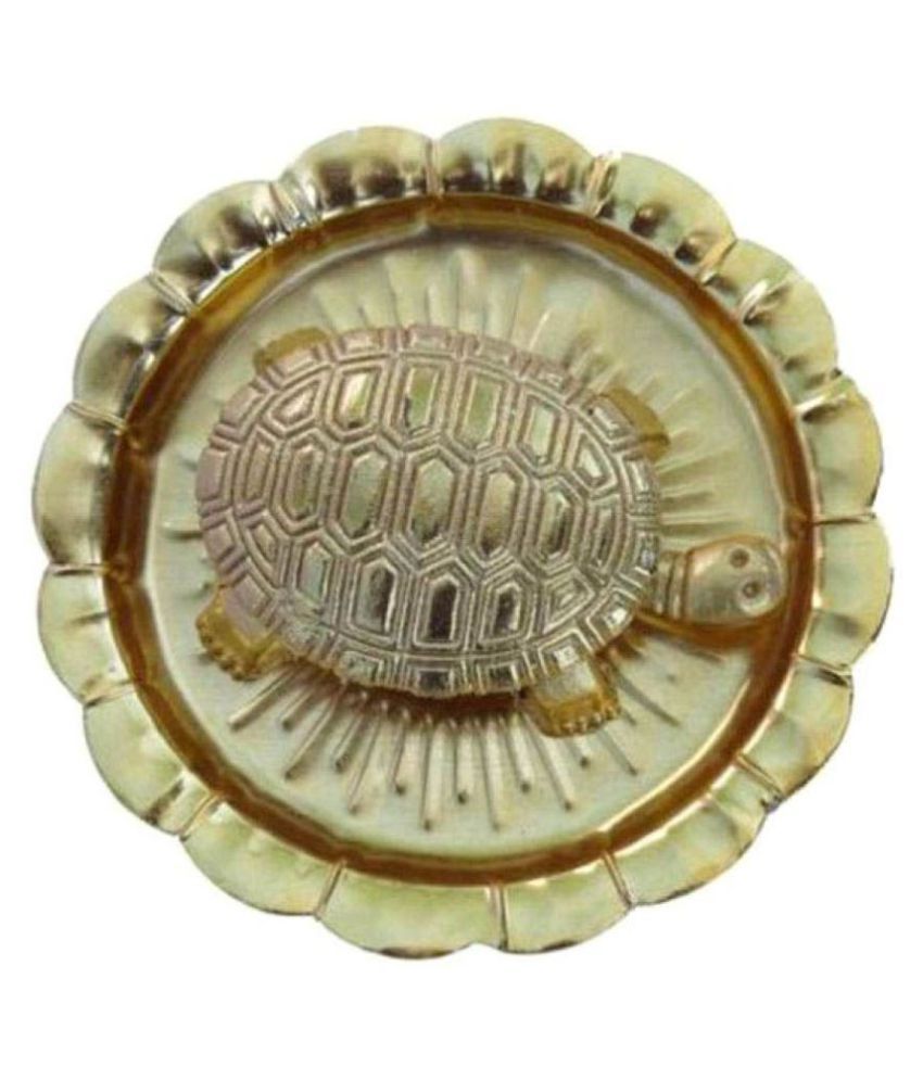     			Raman Collection Tortoise