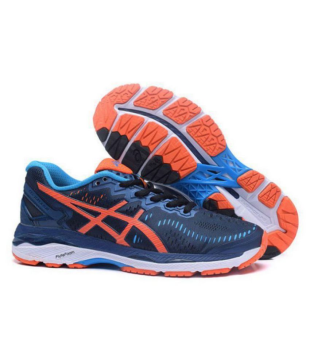 gel kayano 24 blue price in india