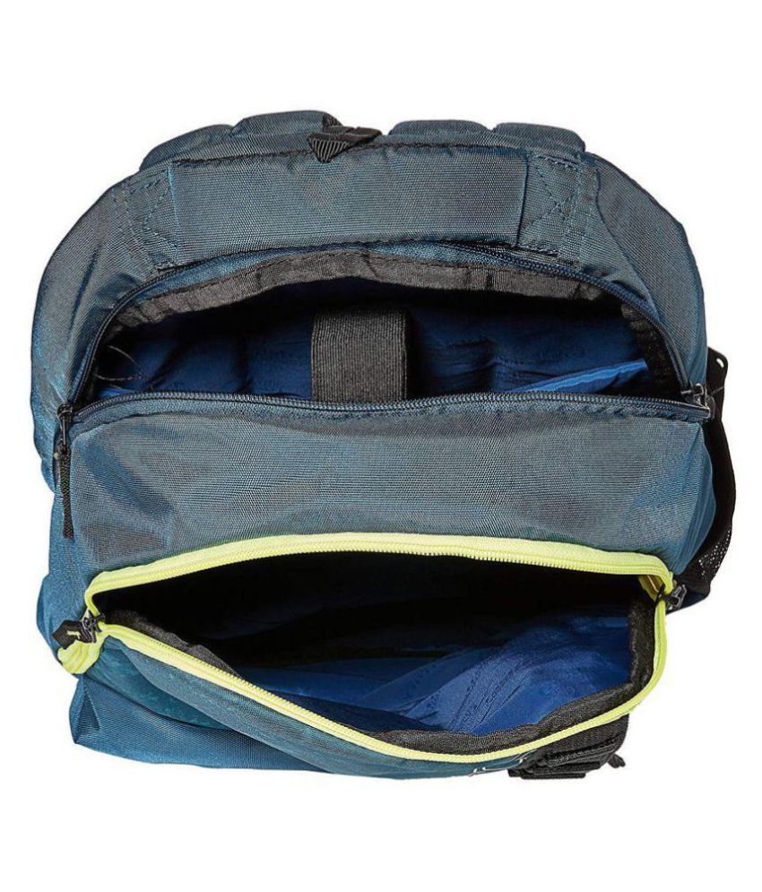 fastrack blue backpack