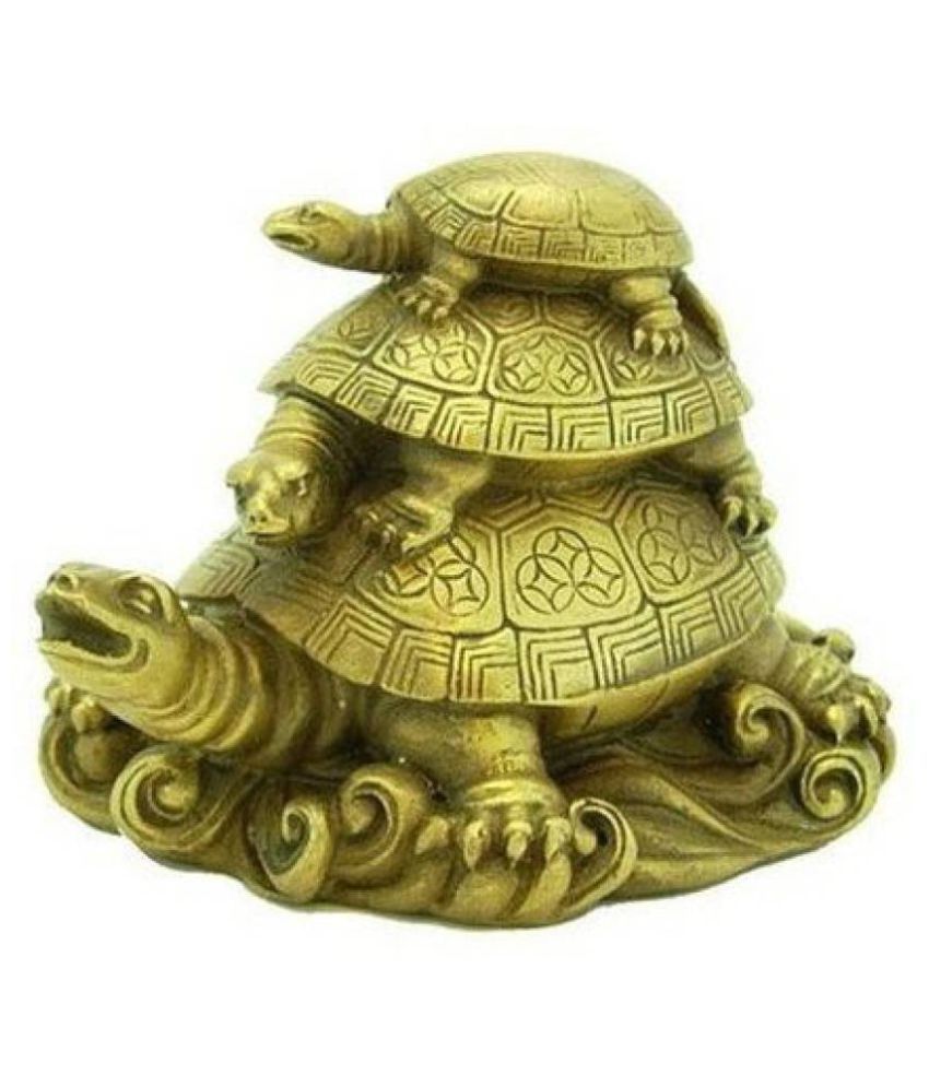     			kripa guru enterprises Tortoise