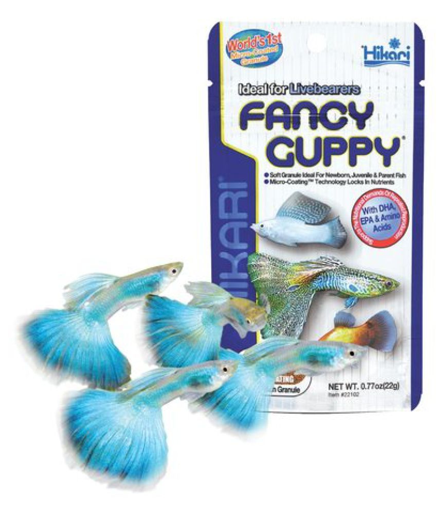 Hikari Fancy Guppy Fish Food Exotic Guppy Buy Hikari Fancy Guppy