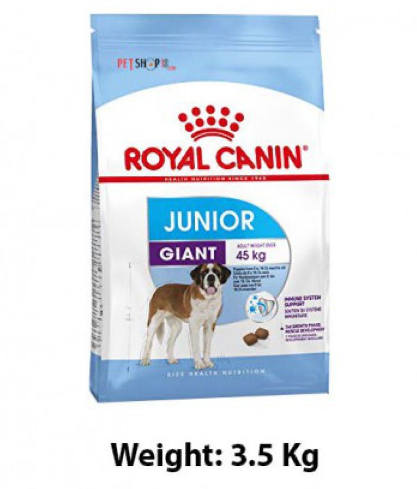 royal canin large junior