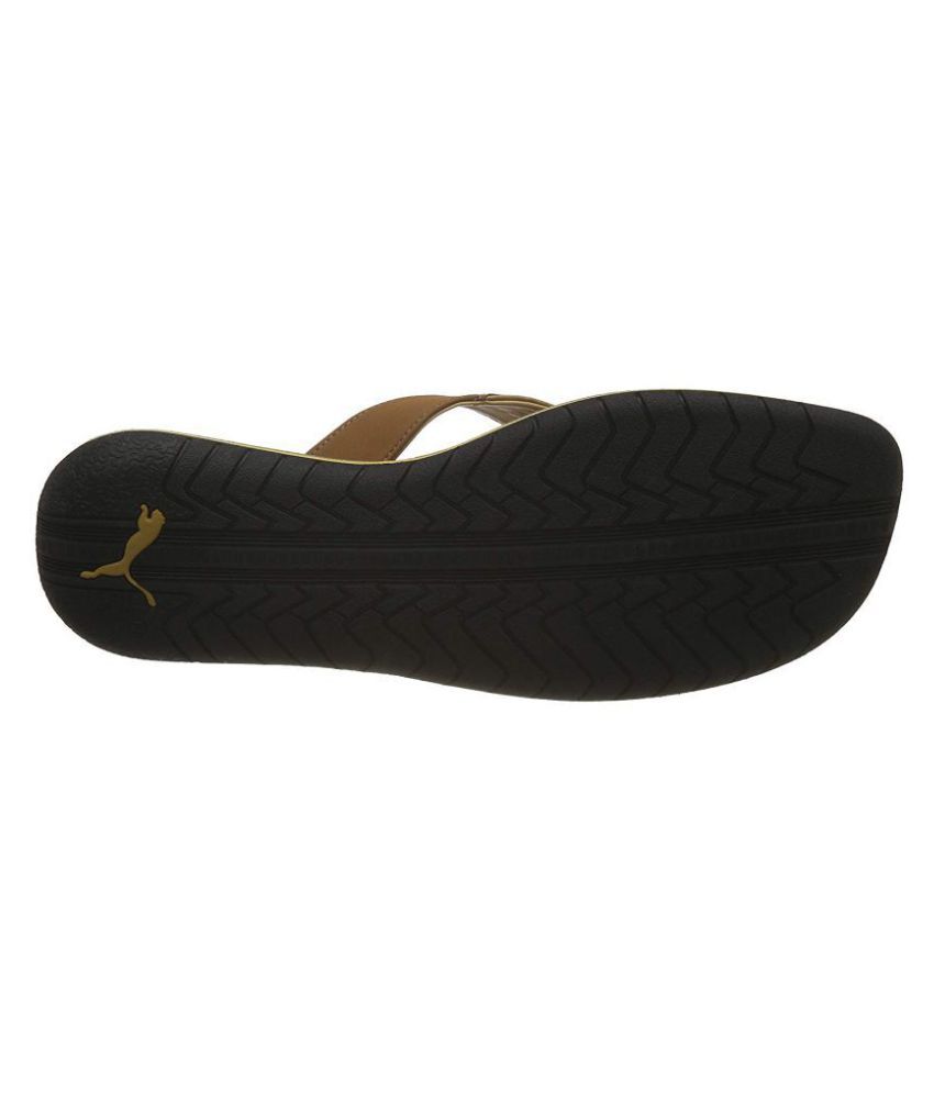 puma camel shoes