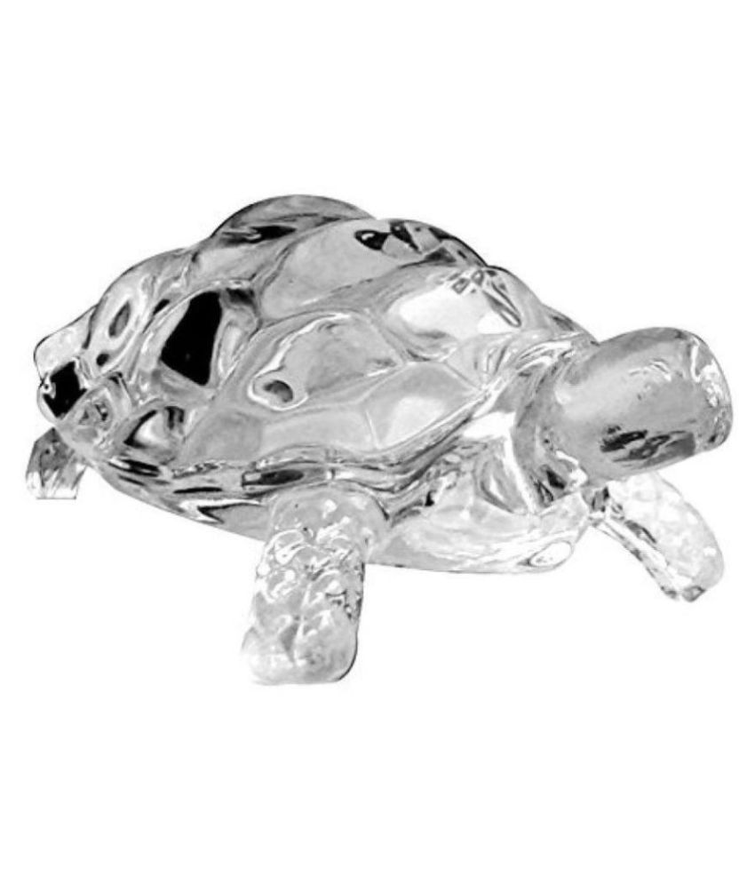     			Hi Fi  Crystal Tortoise