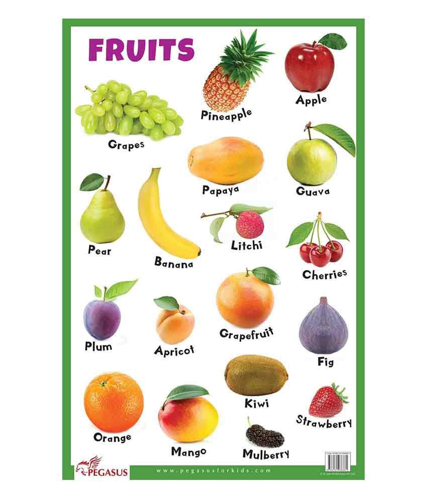 Fruits - Thick Laminated Primary Chart: Buy Fruits - Thick Laminated ...